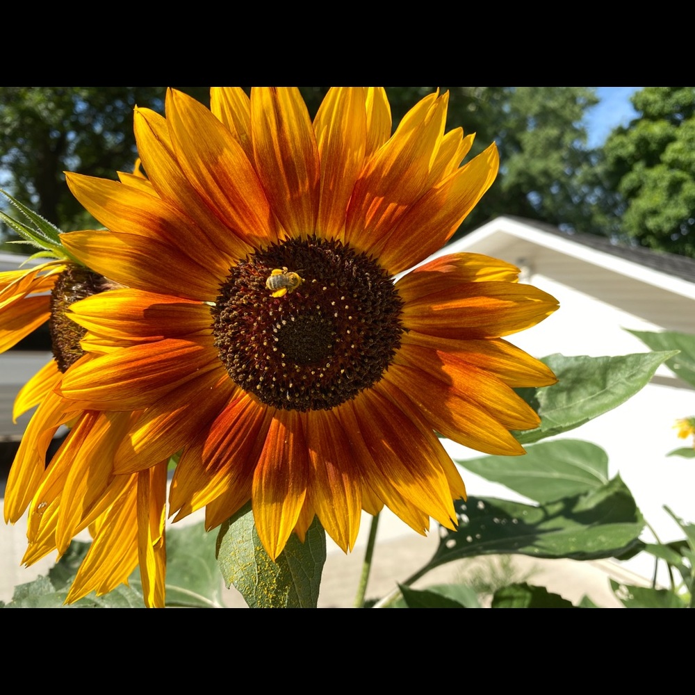 Meet your Posher, Jesse